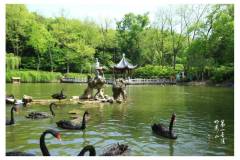 栖霞山丨它们好乖，我们好爱～