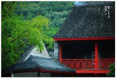 夏日出逃计划！不焦虑，纯放空，到栖霞山里让自己放个假~