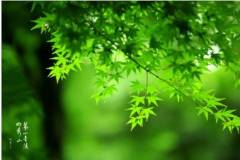 栖霞山，“暑”不尽的美好时光