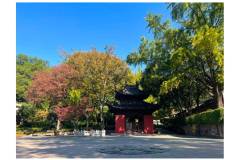 重生之我居然穿越了！！——近距离感受栖霞山千年古迹的魅力