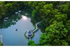 栖霞山丨蝉鸣白昼，盛夏流年