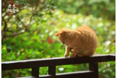 栖霞山丨秋天，要见面！