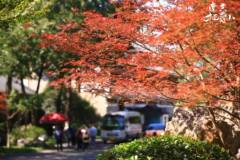 栖霞山，太好玩赖~