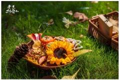 满满的，都是栖霞山的“秋”！