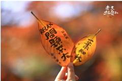 【研学招募】捡到了秋天不要扔，做个树叶“枫铃”吧~