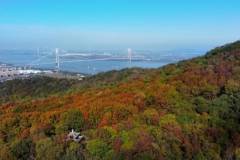 栖霞山丨寒意悄至，我们一起奔赴下一场山海吧