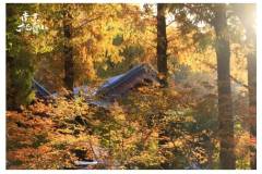 玩要玩在心巴上！泡山行动本周体验栖霞山“百YOUNG非遗”~