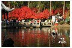 嗯？怪我过分美丽？？