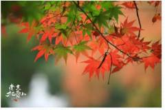 被冬天打动的瞬间