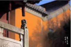 栖霞山丨热爱漫无边际，喜欢的风景要自己去找