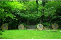 他和哪吒都说：我命由我不由天！